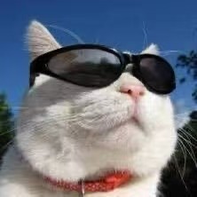 Thomas的投资笔记